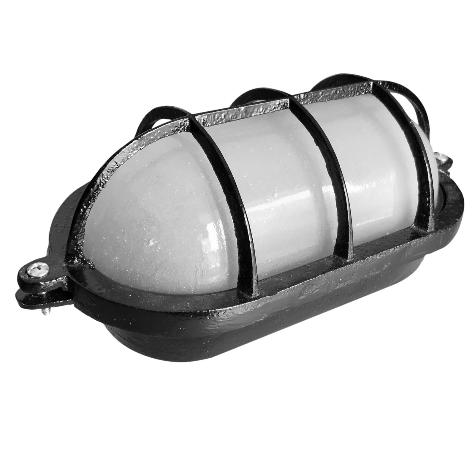 TortugaOvalGdeVSat-Negra