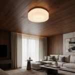 Plafón Chapa Decorativo Cromado 2 Luces Vidrio Génesis - E27