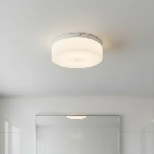 Plafón Chapa Grande 2 Luces Vidrio Escolar Apto Led - E27 - Imagen 9