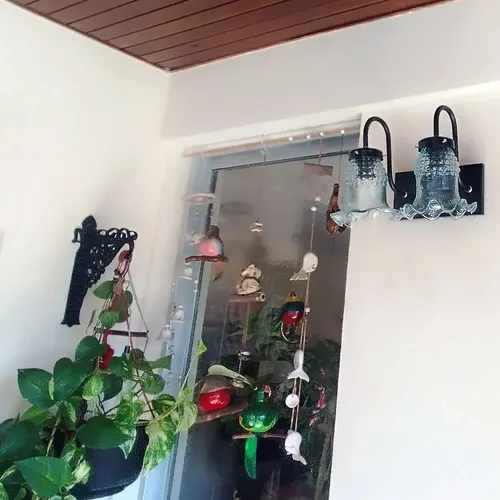D_618904-MLA82082581247_012025-O.webp