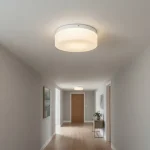 Plafón Chapa Grande 2 Luces Vidrio Escolar Apto Led - E27