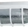 Tortuga Fundición De Aluminio Ovalada Grande Cruda - Thumbnail Image 16
