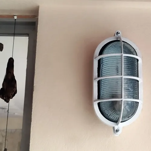 Tortuga De Fundición Aluminio Ovalada Grande Con Reja - Imagen 26