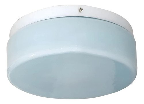 Plafón Chapa Grande 2 Luces Vidrio Escolar Apto Led - E27 - Imagen 4