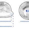D_645487-MLA93842607378_102025-O.jpg
