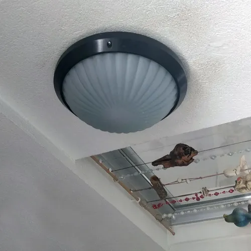 Plafón Soffit Grande 2 Luces Vidrio Estrella Satinado - Imagen 4
