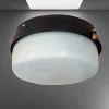 D_660430-MLA78442934542_082024-O.webp