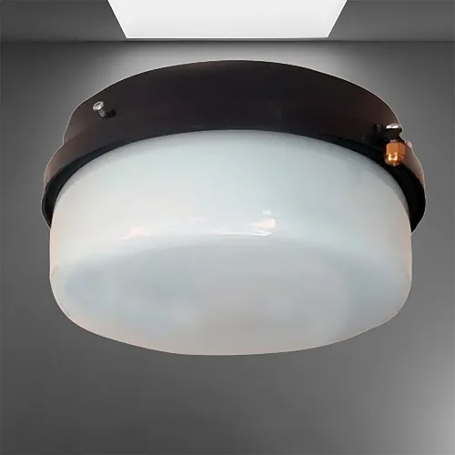 D_660430-MLA78442934542_082024-O.webp