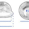 D_663926-MLA94268650351_102025-O.jpg