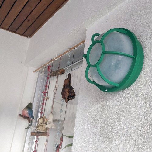 Tortugas Plásticas Económicas Redondas Con Vidrio Plastico - Imagen 16