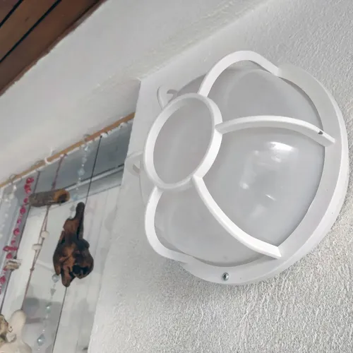 Tortugas Plásticas Económicas Redondas Con Vidrio Plastico - Imagen 4