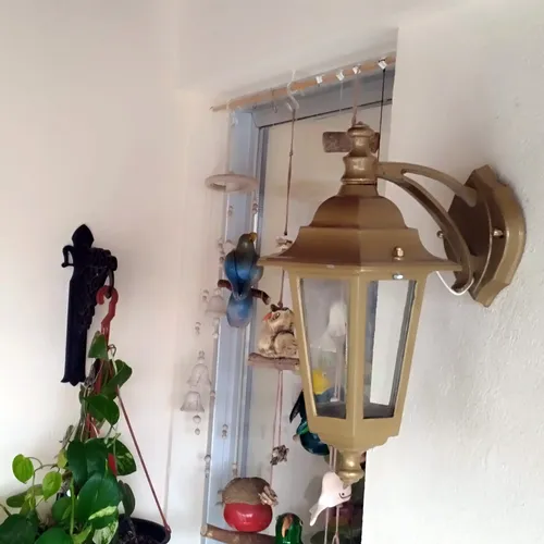 D_692307-MLA78620349931_082024-O.webp