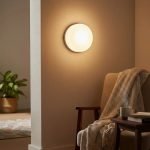 Plafón Chapa Chico 1 Luz Vidrio Escolar - Apto Led E27