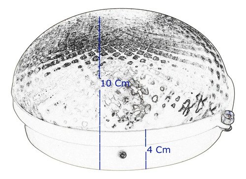 D_730888-MLA69446992279_052023-O.jpg