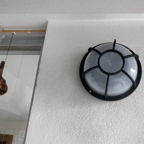 Tortugas Plásticas Económicas Redondas Con Vidrio Plastico - Imagen 26
