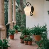 Vidrio Repuesto Capelon - Opal - Thumbnail Image 12