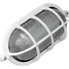 Tortuga Fundición De Aluminio Ovalada Grande Cruda - Thumbnail Image 14