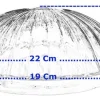 Vidrio Repuesto Satinado Plafón Grande De 20 Cm. - Thumbnail Image 18