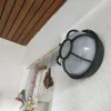 Tortugas Plásticas Económicas Redondas Con Vidrio Plastico - Thumbnail Image 22