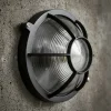 Tortuga Fundición De Aluminio Redonda Grande Cruda - Thumbnail Image 5