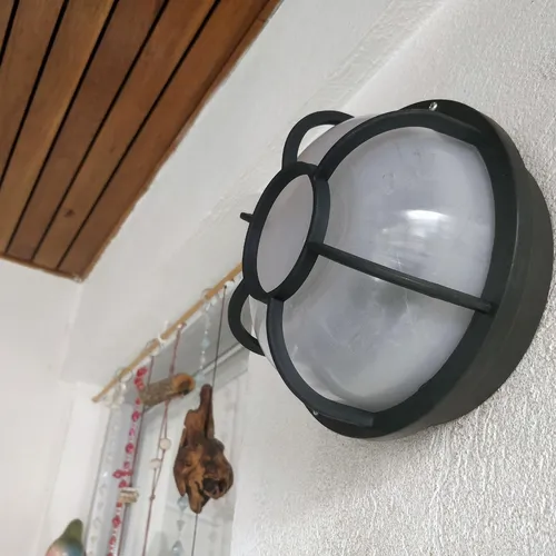 Tortugas Plásticas Económicas Redondas Con Vidrio Plastico - Imagen 25