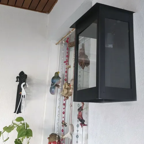 D_803039-MLA76996036207_062024-O.webp