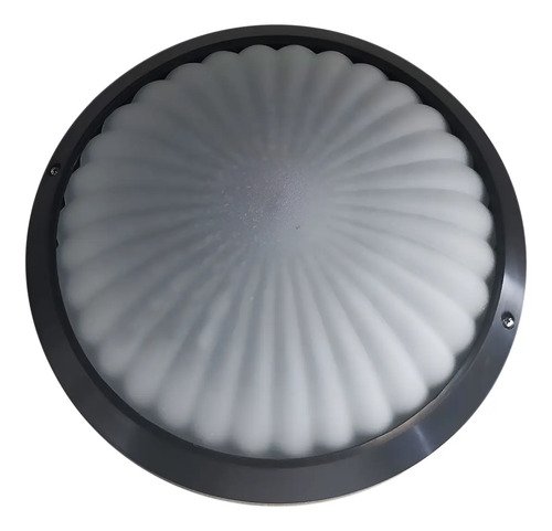 Plafón Soffit Grande 2 Luces Vidrio Estrella Satinado - Imagen 3