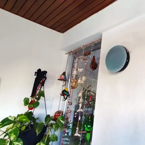 D_845328-MLA69447065921_052023-O.webp