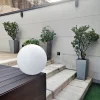D_874640-MLA95126057315_102025-O.webp