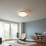 Plafón Chapa Chico 1 Luz Vidrio Estrella Opal - E27