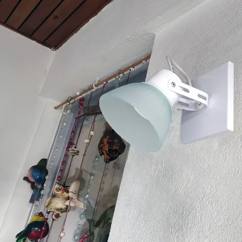 D_928185-MLA51497293838_092022-O.webp