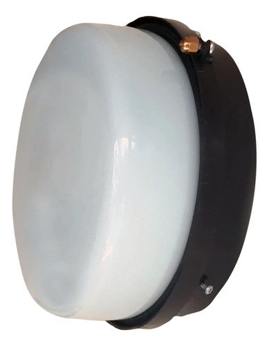 D_933261-MLA78674780755_082024-O.jpg