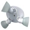 Aplique Spot Económico Metálico De 3 Luces E27 Con Tulipa De Vidrio Satinado - Thumbnail Image 11