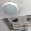 D_946546-MLA46580641908_072021-O.webp