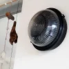 D_958049-MLA70676576010_072023-O.webp