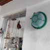 Tortugas Plásticas Económicas Redondas Con Vidrio Plastico - Thumbnail Image 12