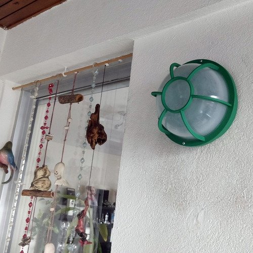Tortugas Plásticas Económicas Redondas Con Vidrio Plastico - Imagen 12
