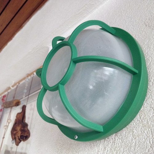 Tortugas Plásticas Económicas Redondas Con Vidrio Plastico - Imagen 15