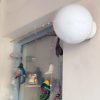 Aplique Globo Pvc 25 Cm Antivandálico De Techo Ó Pared - Thumbnail Image 7
