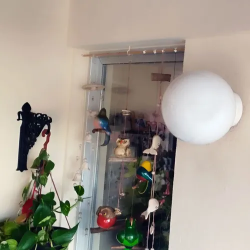 Aplique Globo Pvc 20 Cm Antivandálico De Techo Ó Pared E27 - Imagen 7