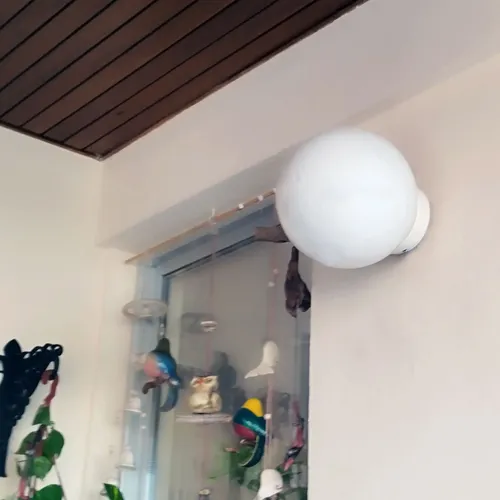 Aplique Globo Pvc 20 Cm Antivandálico De Techo Ó Pared E27 - Imagen 8