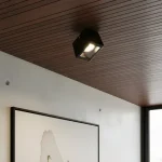 Spot Difusor Direccional De Techo Chapa - Gu10 - Ar111