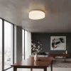 Plafón Chapa Decorativo 2 Luces Vidrio Génesis Apto Led E27 - Thumbnail Image 5
