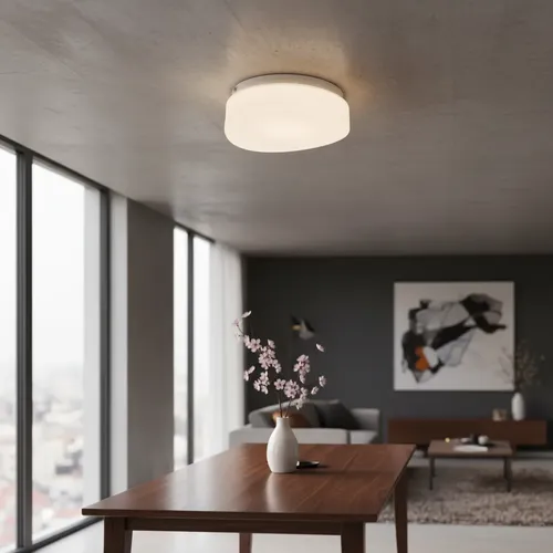 Plafón Chapa Decorativo 2 Luces Vidrio Génesis Apto Led E27 - Imagen 5