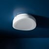 Plafón Chapa Decorativo 2 Luces Vidrio Génesis Apto Led E27 - Thumbnail Image 4